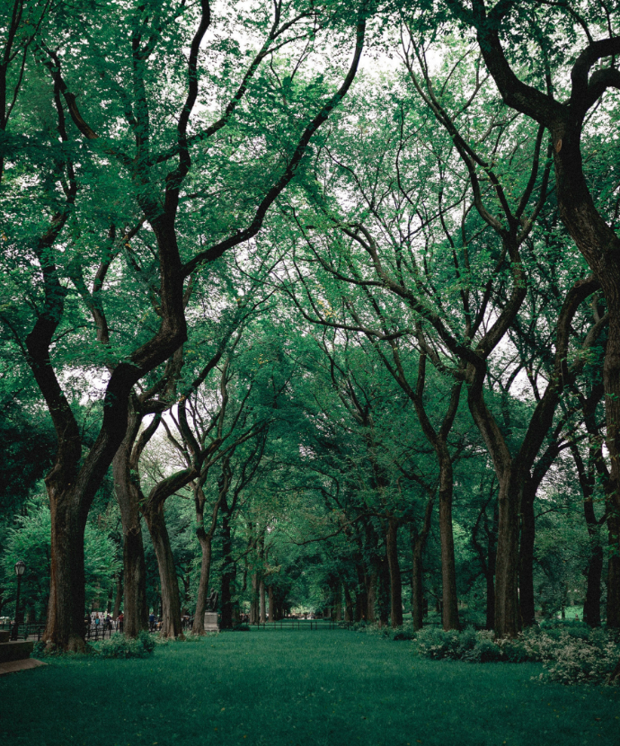 Environment